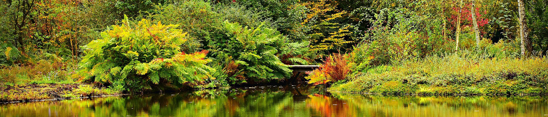 Holistic Stress Management and Wellness Programme (1-Day)